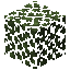 Birch Leaves