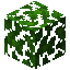 Jungle Leaves