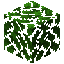 Oak Leaves
