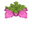 Spore Blossom