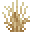 Tall Dry Grass